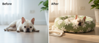 CozyPaw All-Season Bed