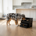 Mess-Free Raised Dog Feeding Station-Spill-Proof